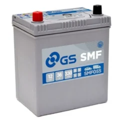 Batteria Auto Gs-yuasa Smf055 12v 36ah Poli Piccoli Sx Liscia