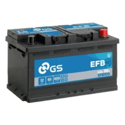 Batteria Auto Start & Stop Gs-yuasa EFB100 65 Ah. 650 A.