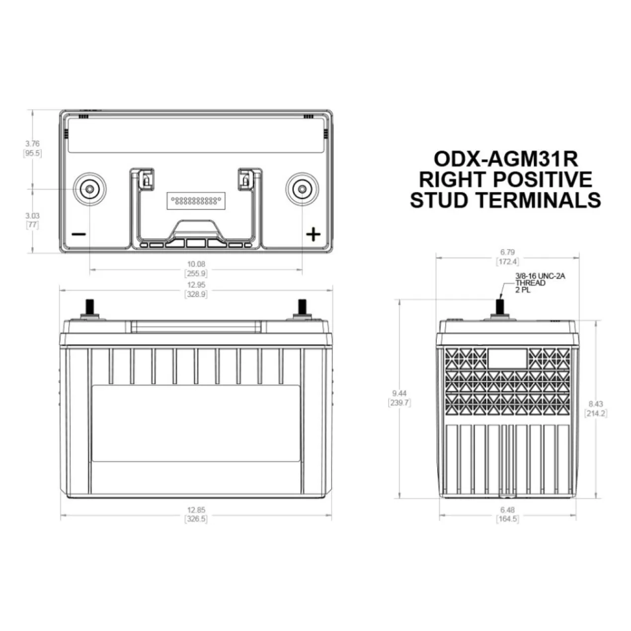 Batteria Odyssey Odx-agm31r (ex 31r-pc2150s) Agm Extreme Series 100 Ah.