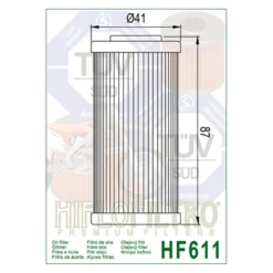 Filtro Olio Hiflo Hf611 Bmw G450x 09-