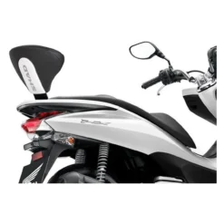 Kit Schienalino Shad Per Honda Pcx125i