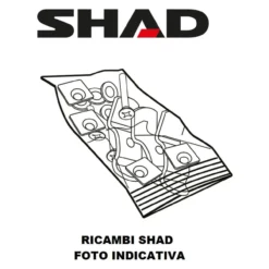 Kit Viti Shad Quad
