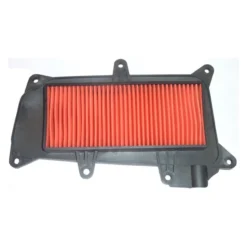 Kymco Like /i 125/200 09- Filtro Aria E17720