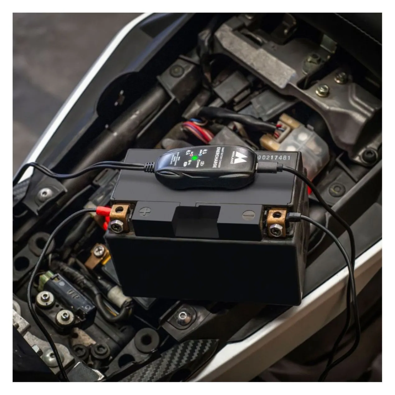 Midland ENERCHARGE Carica Batterie E Mantenitore Di Carica A 12 Volt