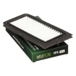 Suzuki An Burgman/executive 650 02-14 Filtro Aria Hfa3619